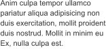 Anim culpa tempor ullamco pariatur aliqua adipisicing non duis exercitation, mollit proident duis nostrud. Mollit in minim eu Ex, nulla culpa est.