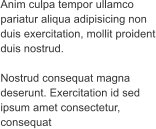 Anim culpa tempor ullamco pariatur aliqua adipisicing non duis exercitation, mollit proident duis nostrud.   Nostrud consequat magna deserunt. Exercitation id sed ipsum amet consectetur, consequat